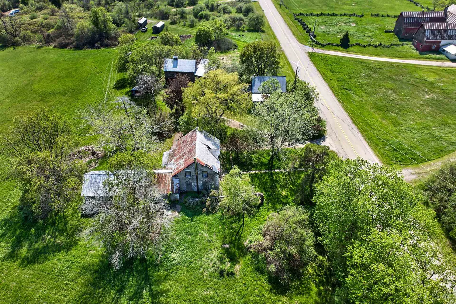10655 Jellyby Road photo 4