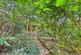 Estridge Way, Tonbridge, TN10 photo 2