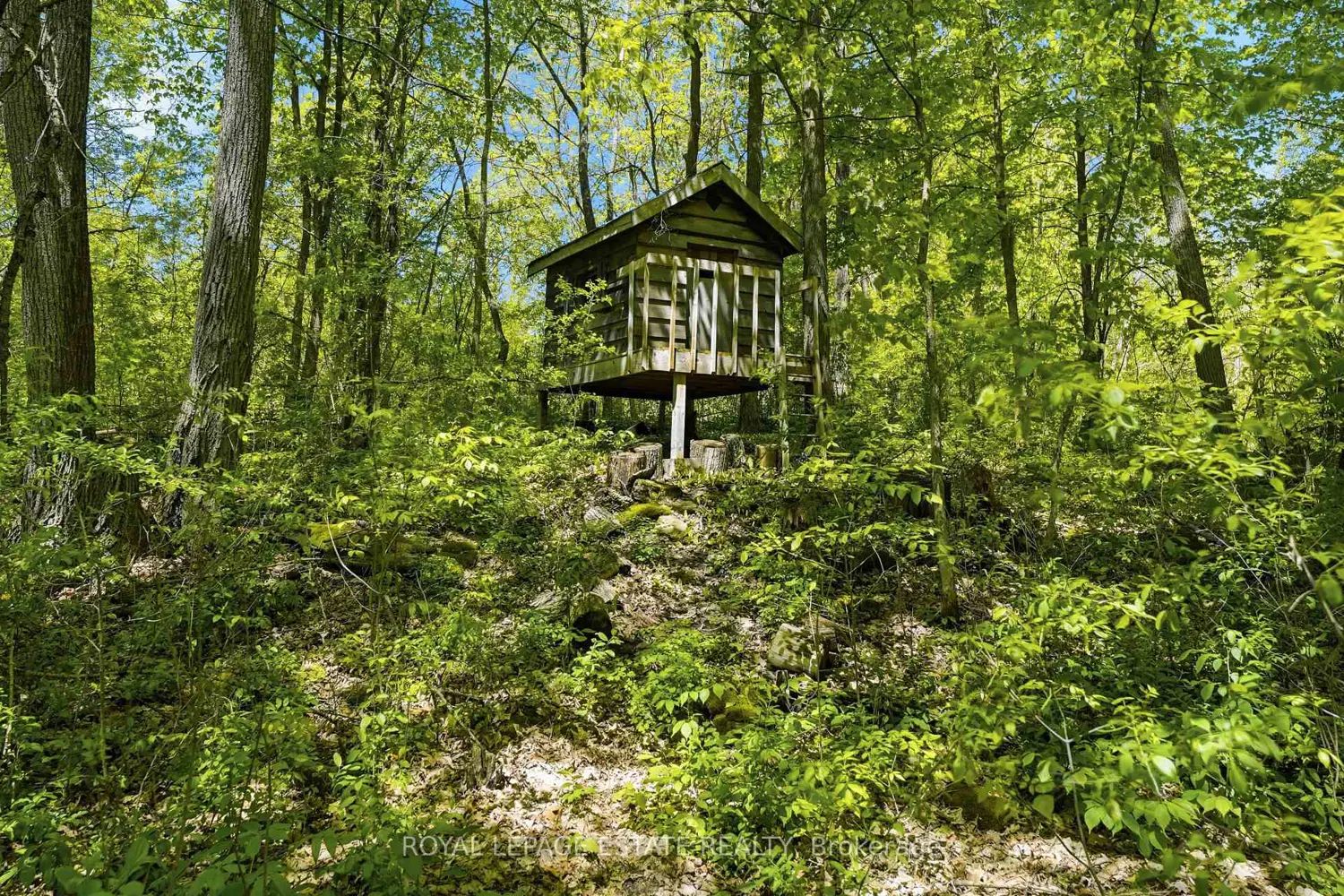 Additional image 19 of 1777 Lazier Road