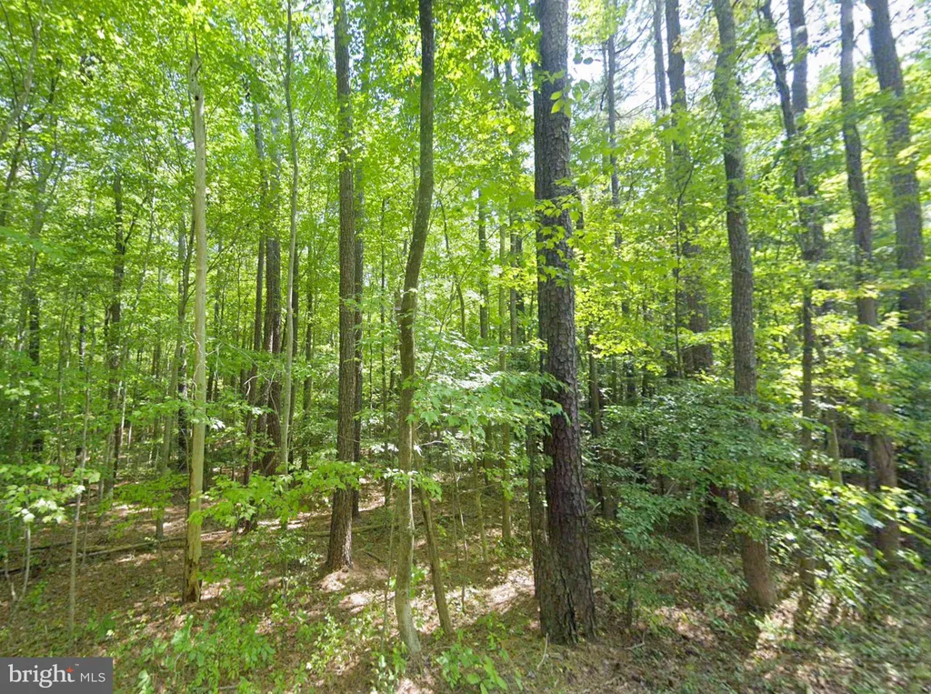 Additional image 6 of 8944 Jessie Dupont Memorial Highway, Kilmarnock, VA 22482