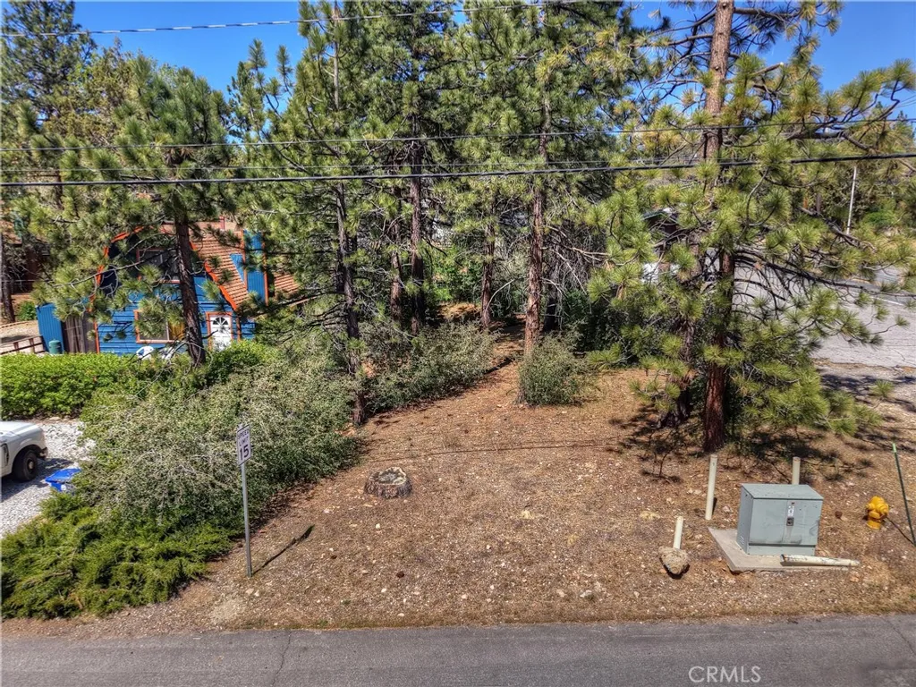 Maple Lane, Sugarloaf, CA 92386