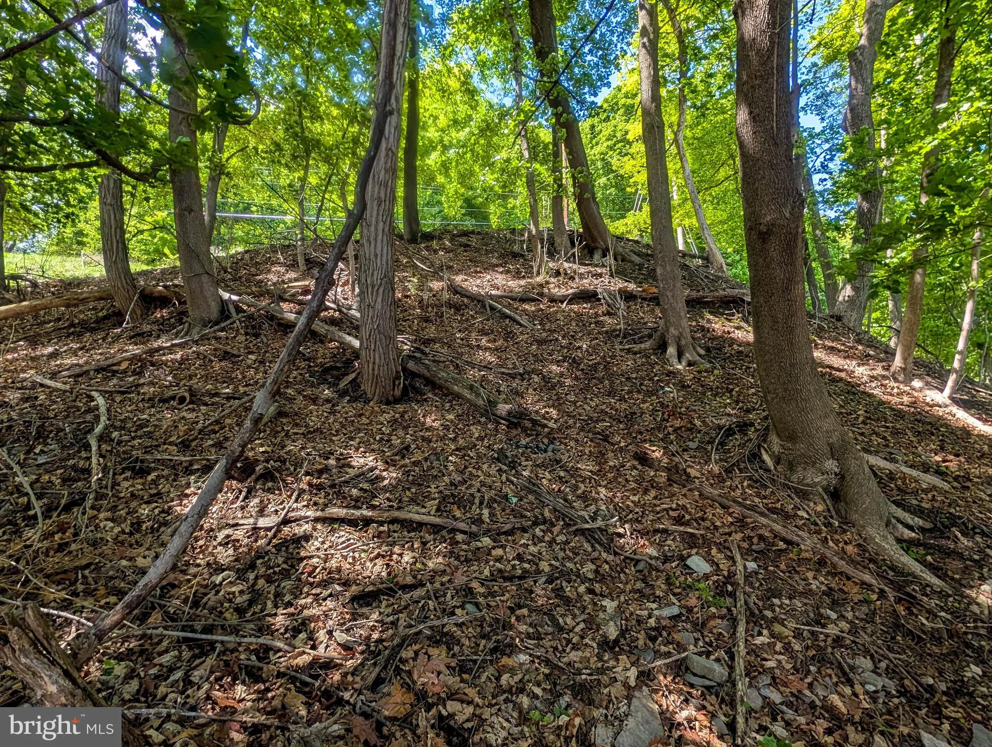 Additional image 97 of 460 Armstrong Street, Keyser, WV 26726