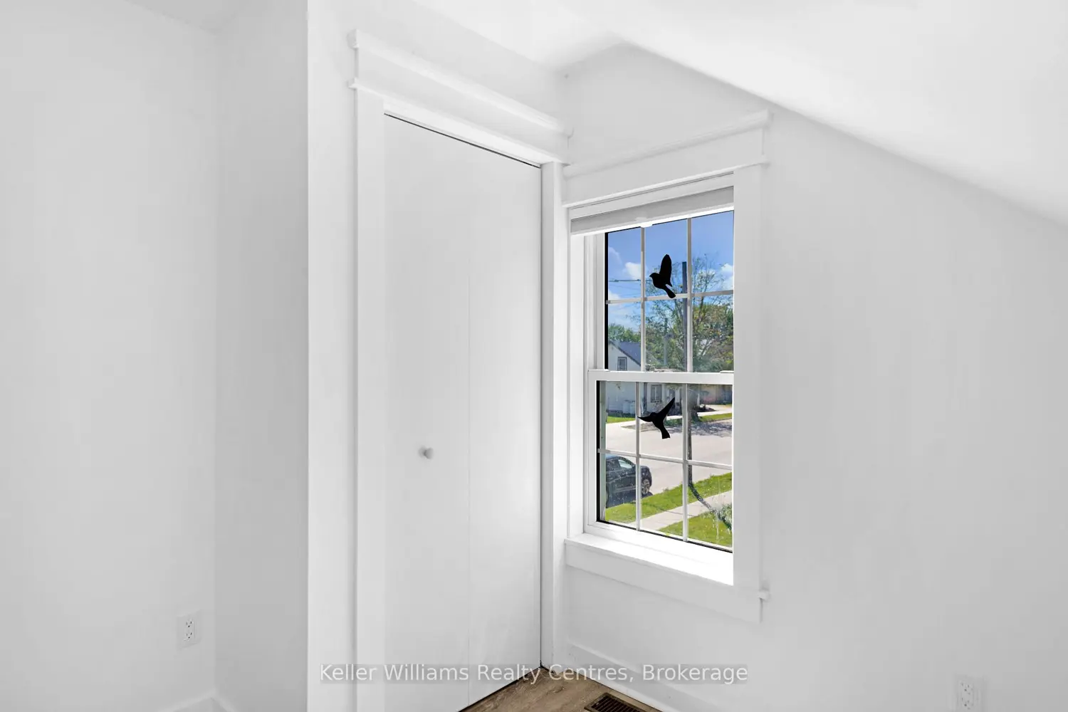 Additional image 11 of 551 Louisa Street