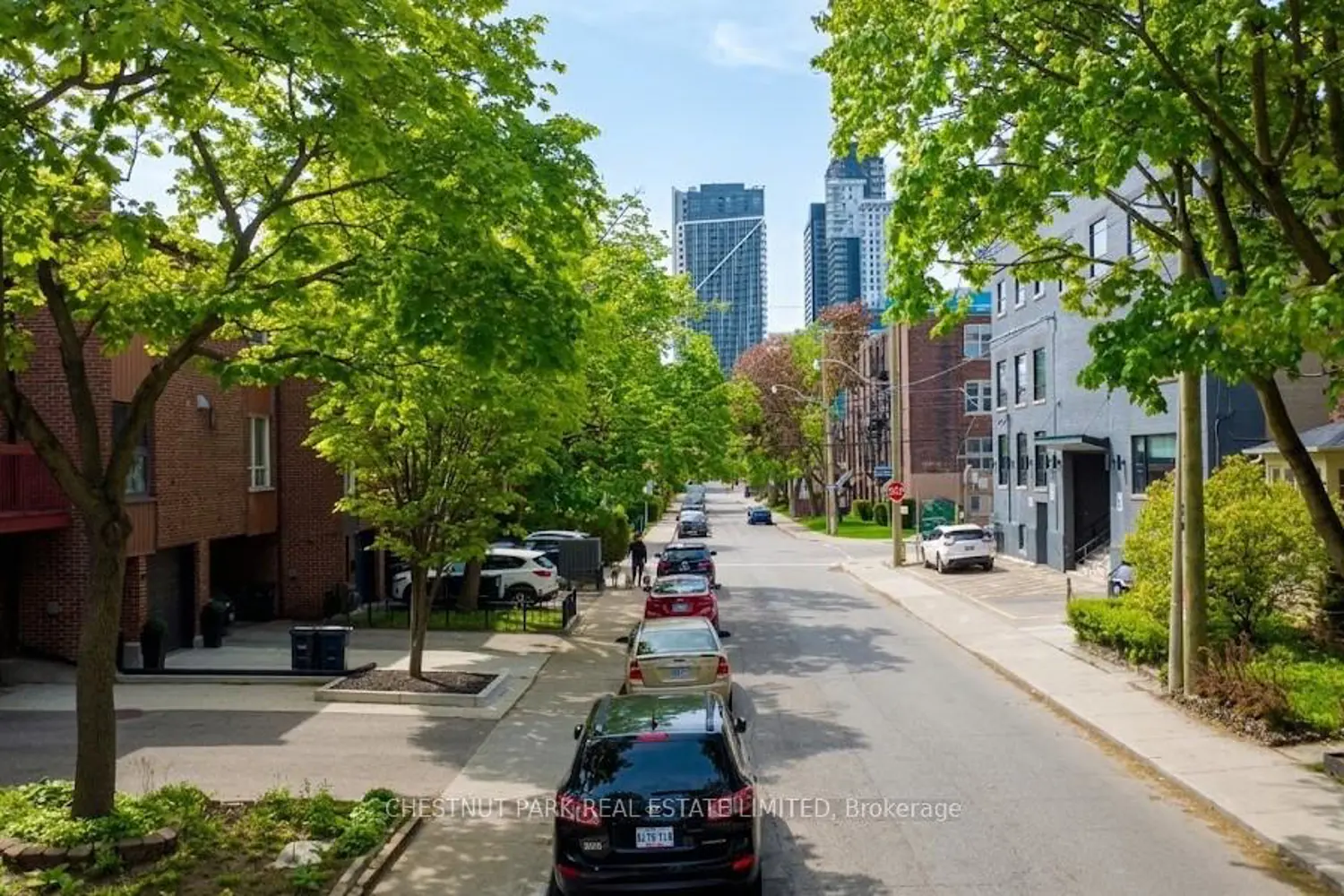Additional image 14 of 91 Stafford Street