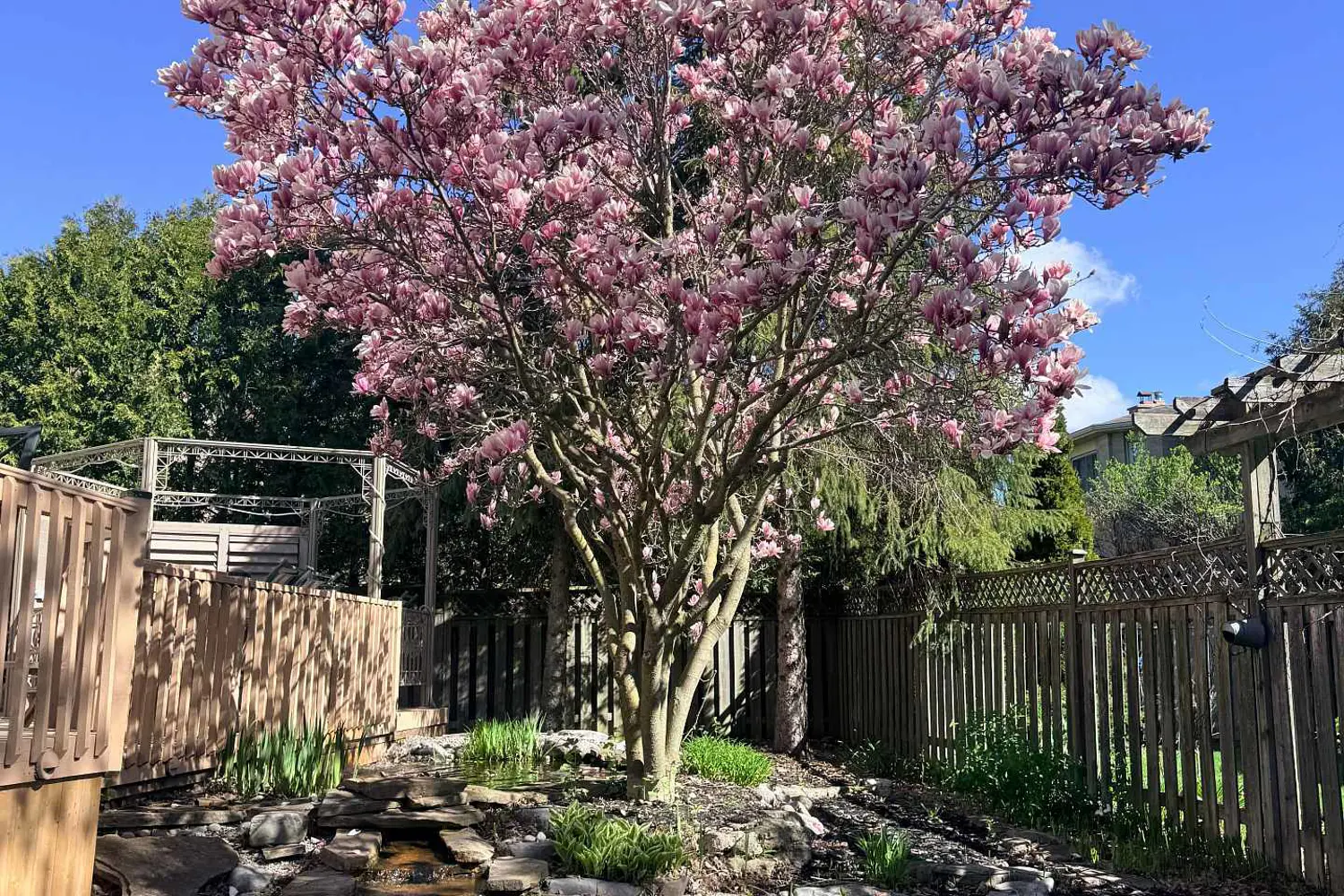 5 Espby Court