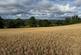 Alveley, Bridgnorth, WV15 6EP photo 2