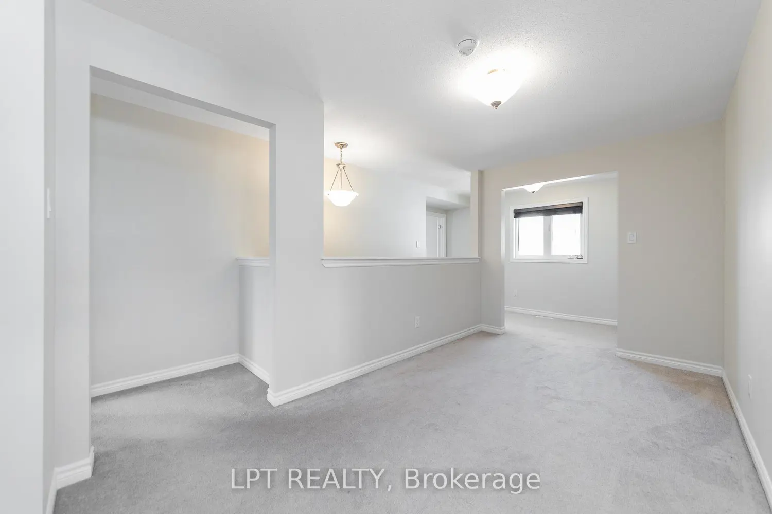 Additional image 9 of 67 Bristling Crescent