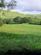 Cynghordy, Llandovery SA20 photo 4