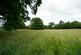 Hollybush Lane, Codsall, WV8 photo 4