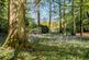 Additional image 3 of Birches Lane, Gomshall