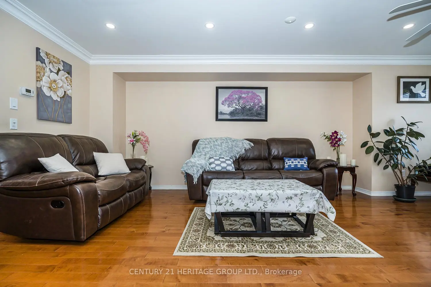 Additional image 7 of 164 Jenkinson Way
