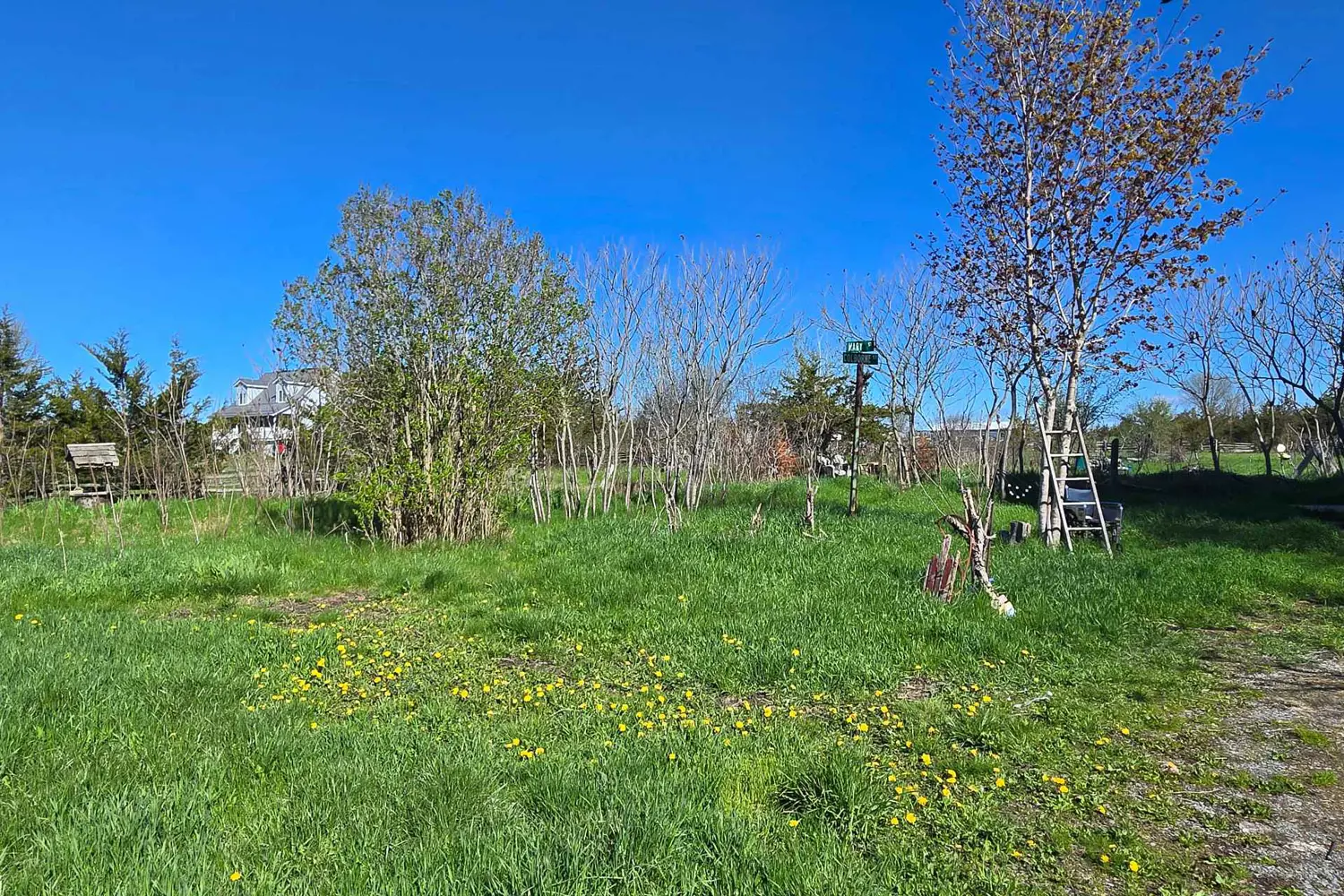 Additional image 4 of 3161 Blessington Road