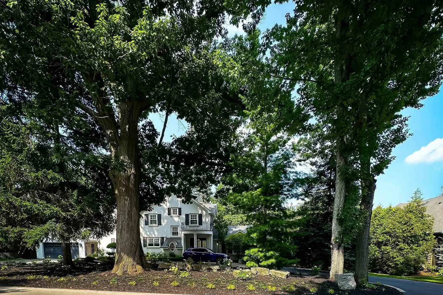 Additional image 7 of 317 Gloucester Avenue