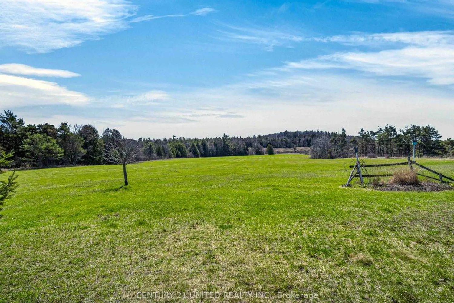 Additional image 19 of 3435 Dummer Asphodel Road