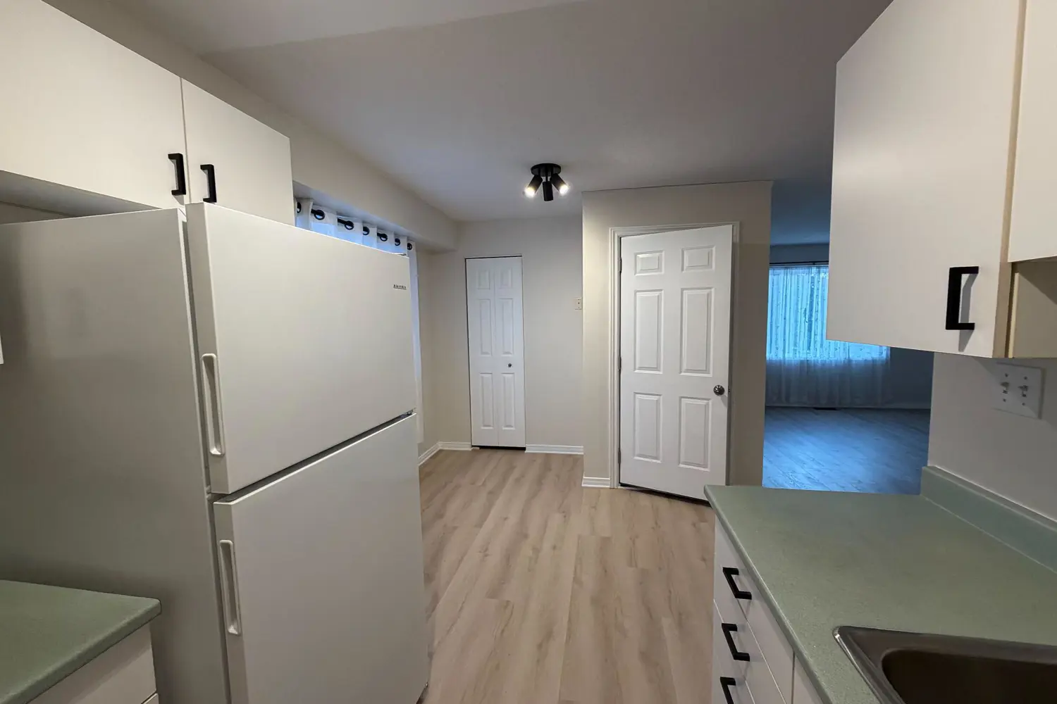 441 Mackay Street photo 3