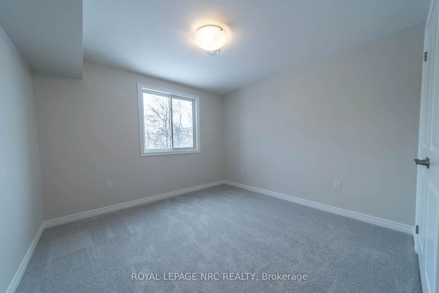 52 Willson Drive photo 5
