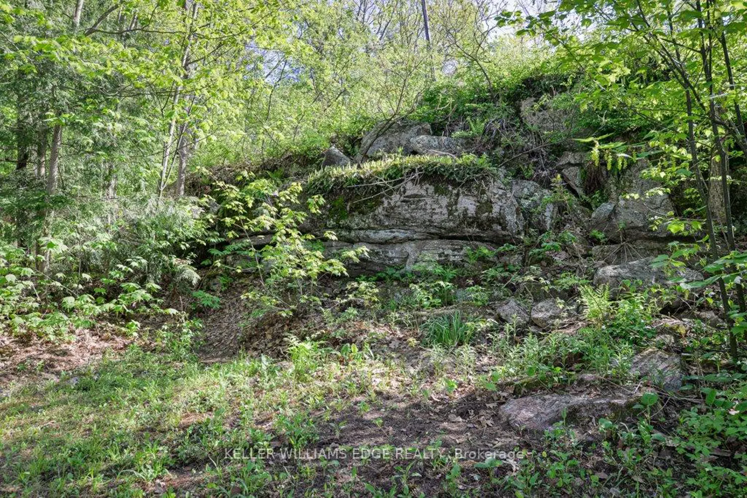 Additional image 14 of 216 Smooth Rock Road