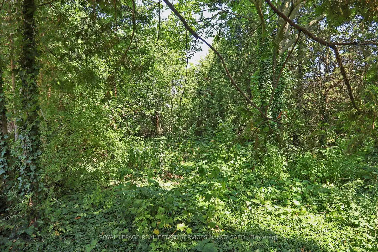 Additional image 19 of 92 Horsham Avenue