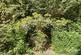 Additional image 30 of Writtle