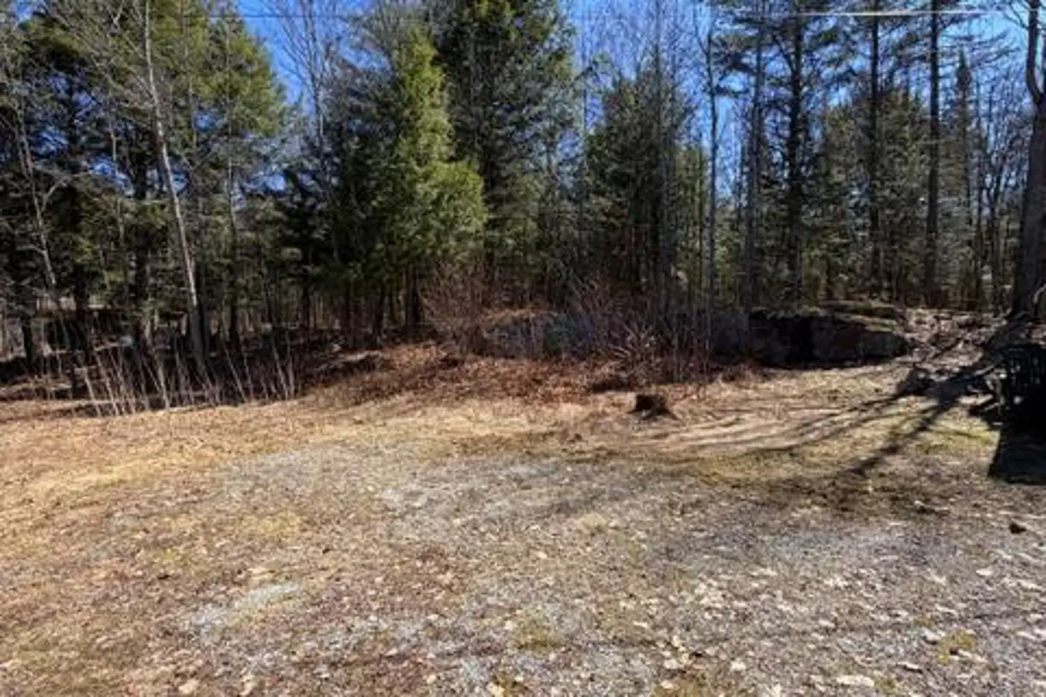 1464 Buckslide Road photo 2