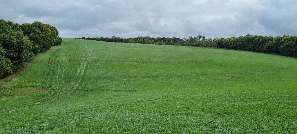 Land for saleMarlborough SN8 photo 4