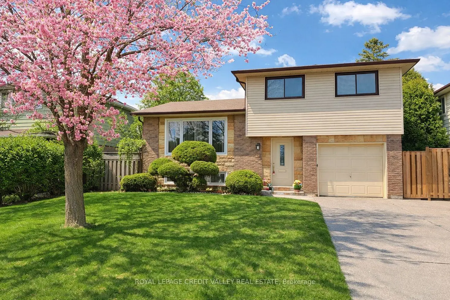 20 Willis Drive