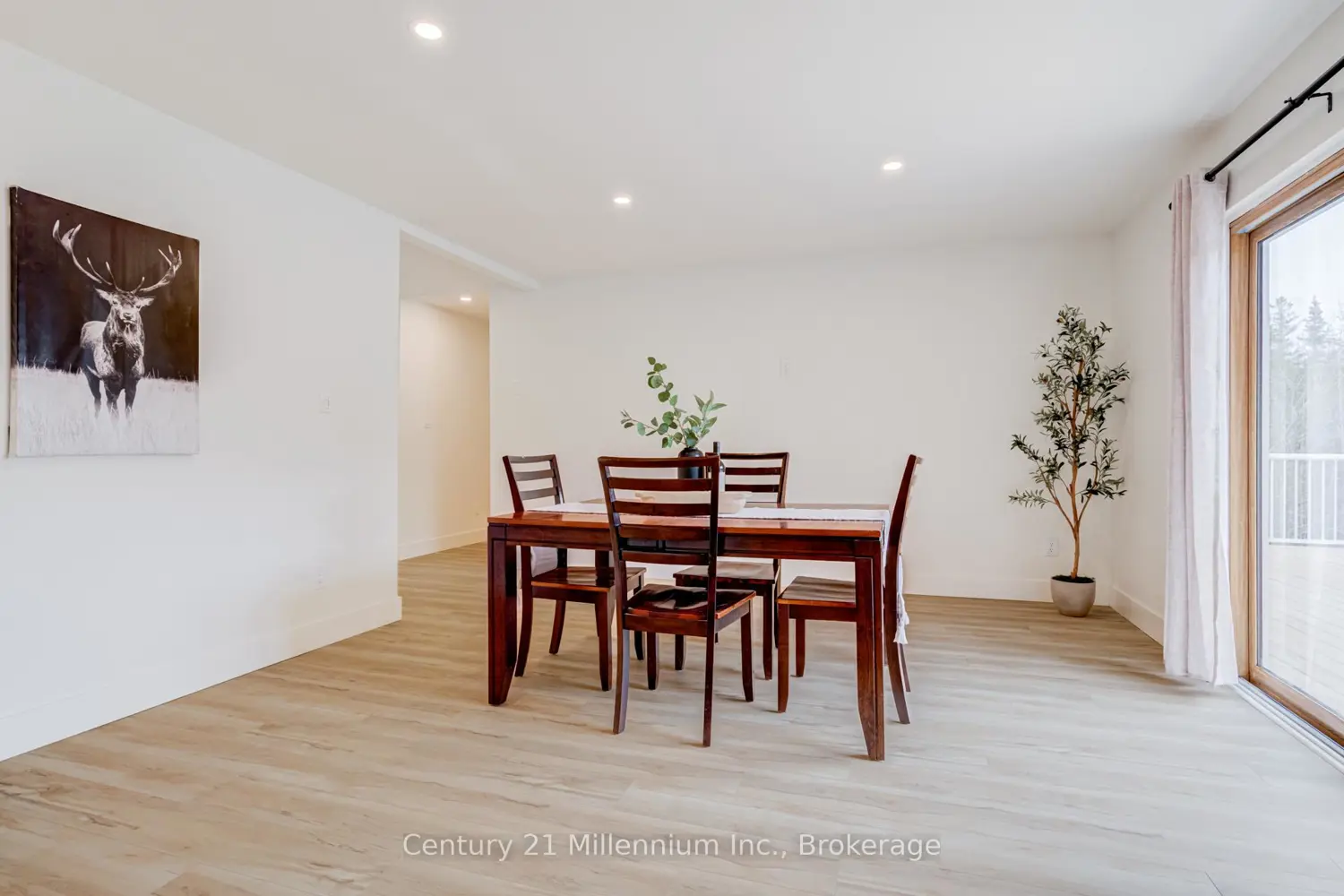 Additional image 4 of 12 Nicholas Street