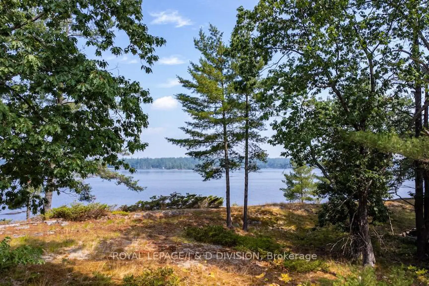 Additional image 12 of 4446 Is 107 Stoney Lake Island