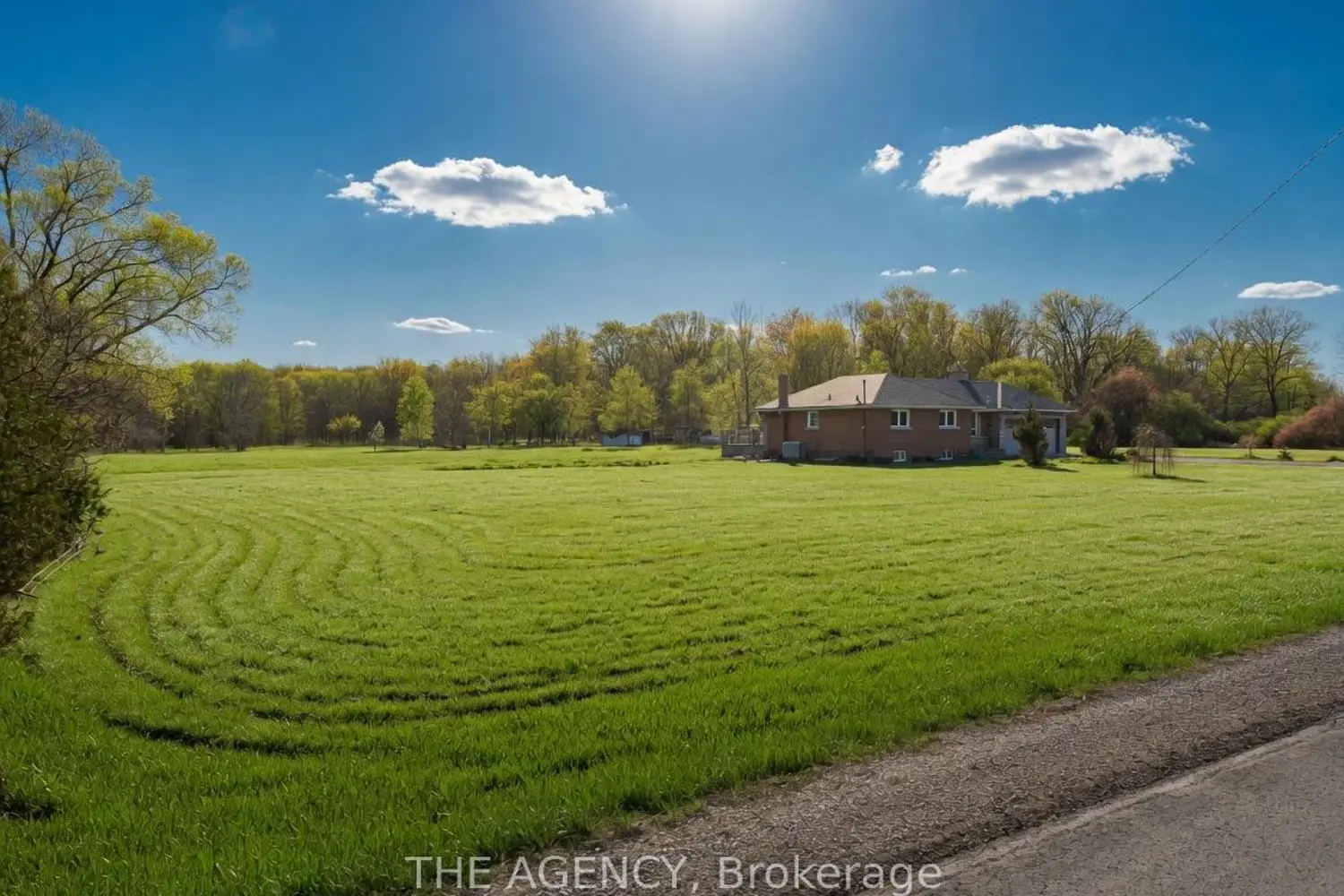 295 Park Road photo 5