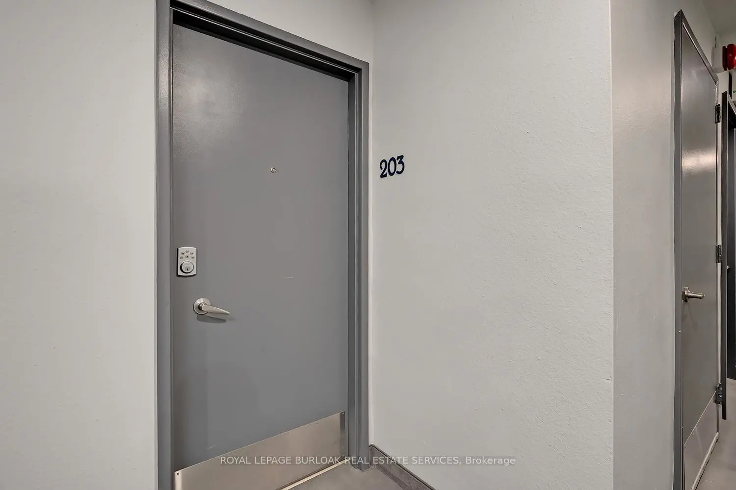 69 Herkimer Street 203 photo 4