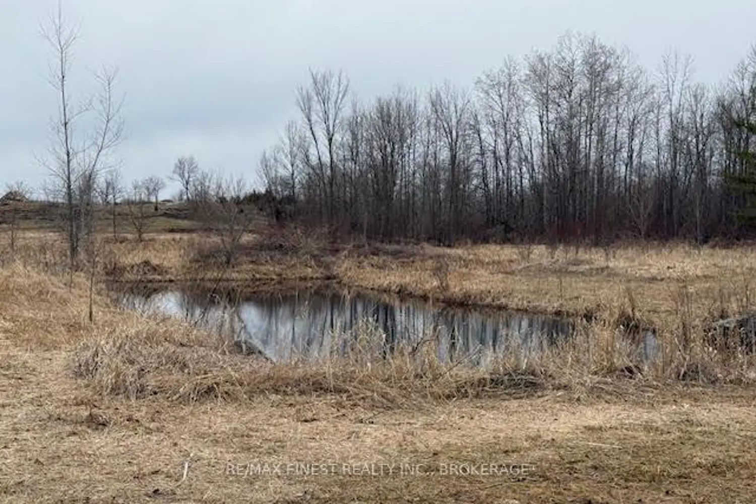 Additional image 17 of 773 Ninth Concession Road