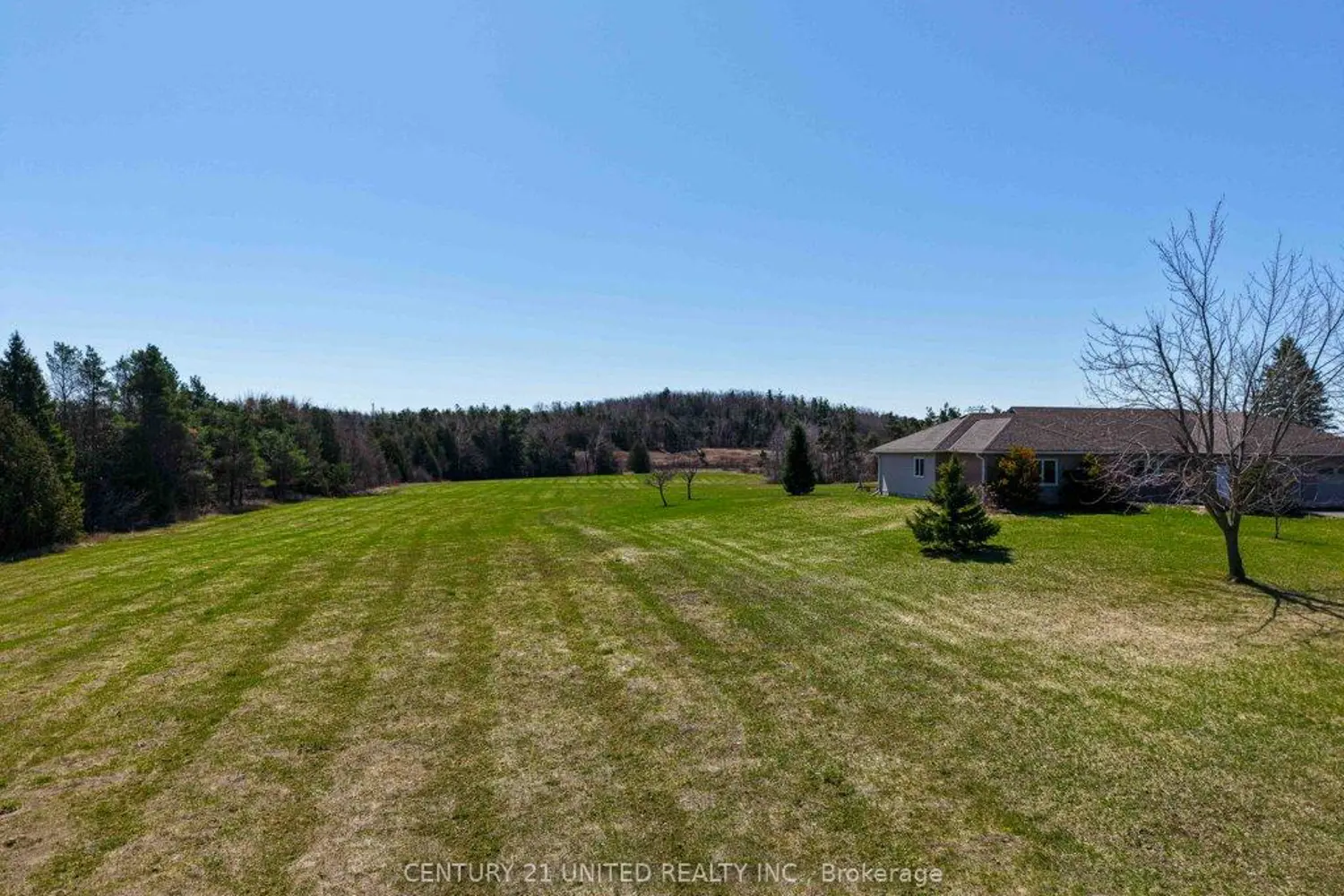 Additional image 15 of 3435 Dummer Asphodel Road