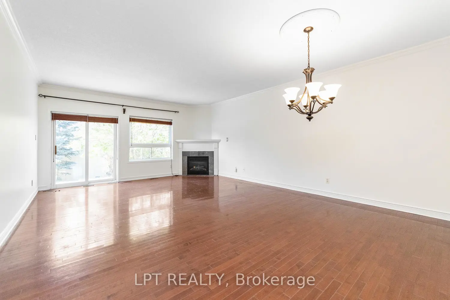 Additional image 7 of 49 Melville Road