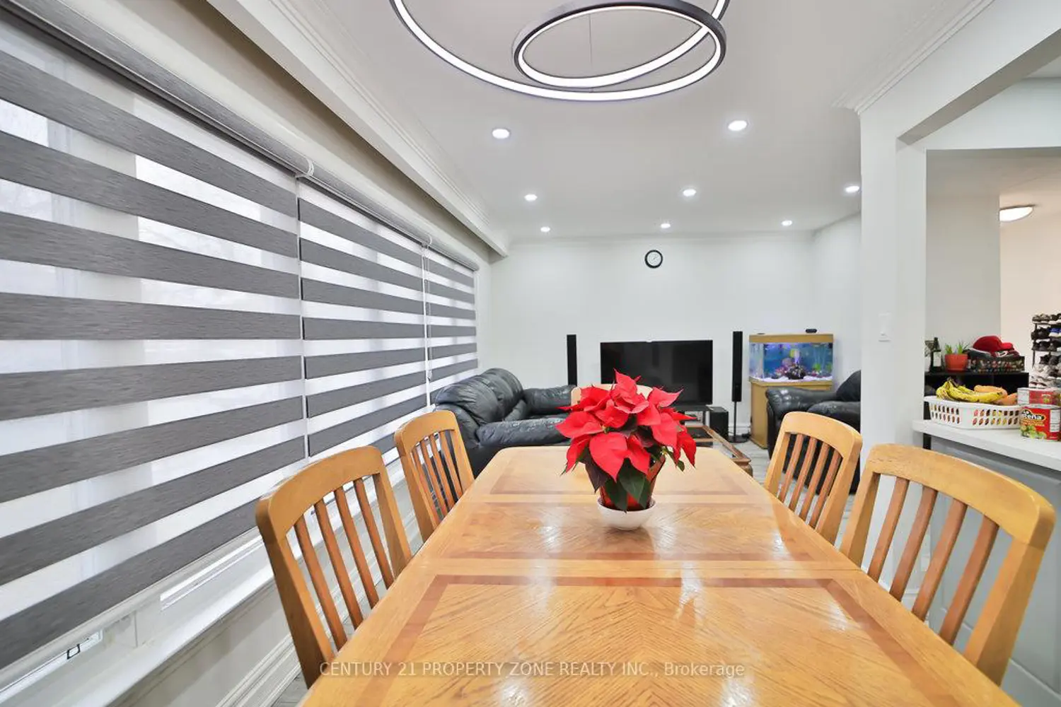47 Brisco Street photo 3