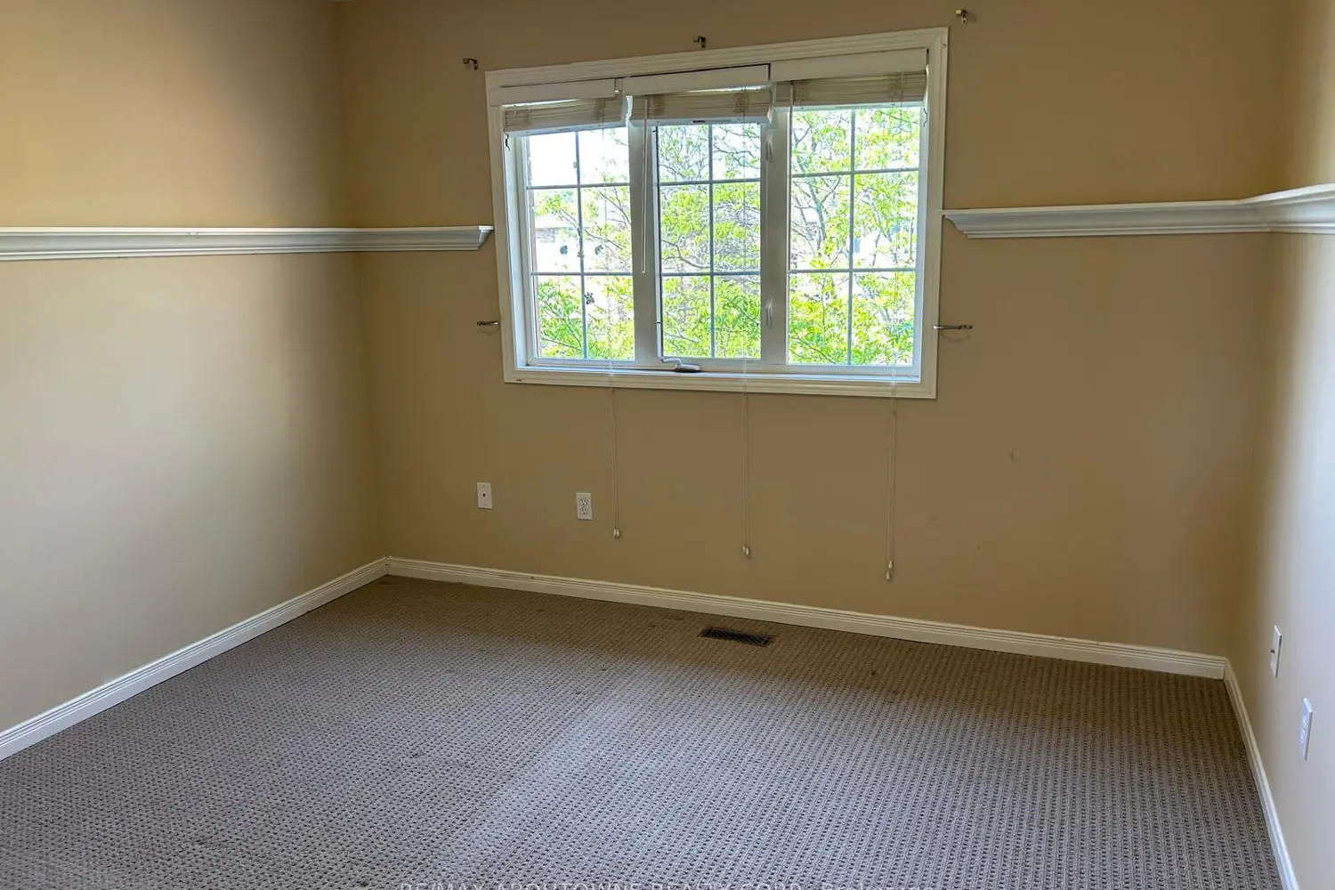 Additional image 13 of 2473 Lazio Lane