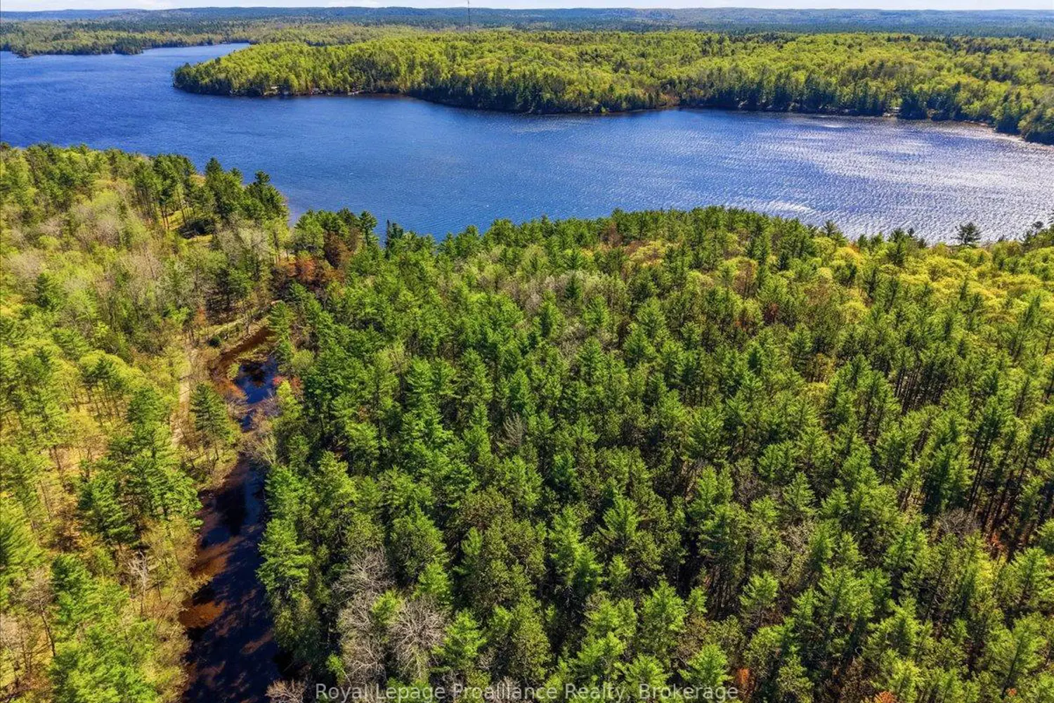 Additional image 16 of 4217 Buckshot Lake Road