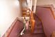 Additional image 5 of Streete Court Road, Westgate-On-Sea, CT8