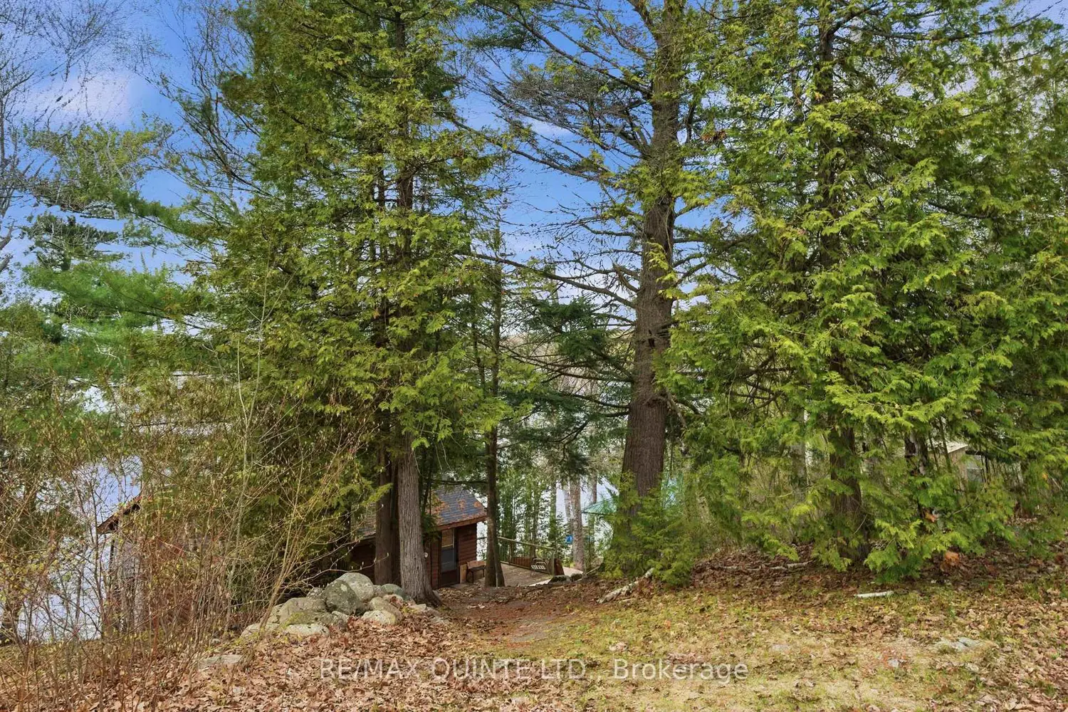 165 Retriever Lane photo 3