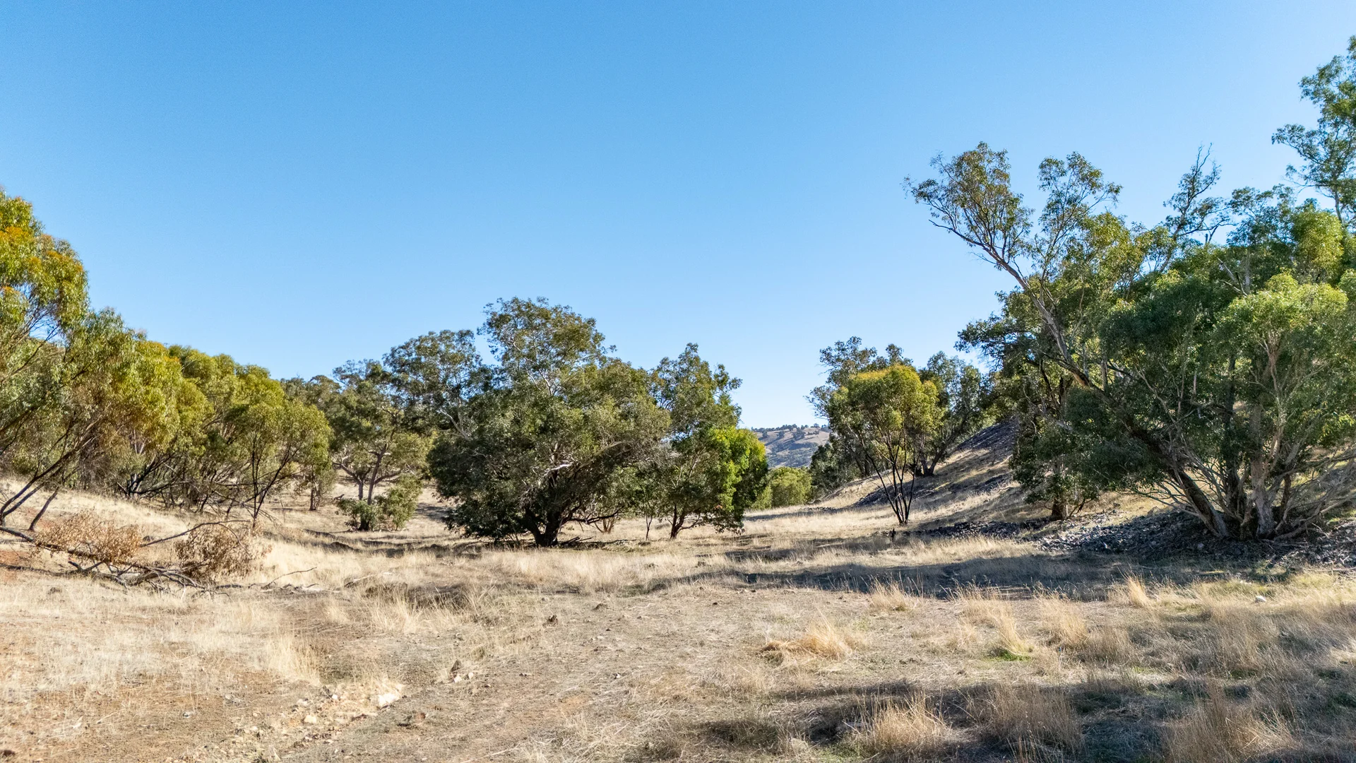 Toodyay WA 6566 photo 5