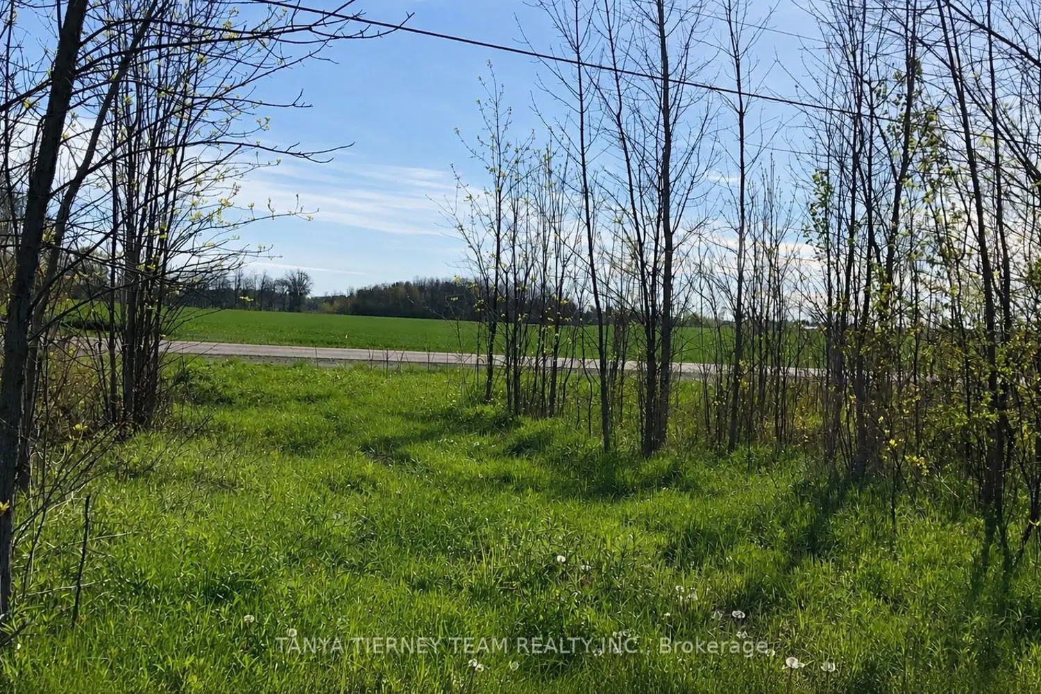 2640 Concession 8 Road photo 5