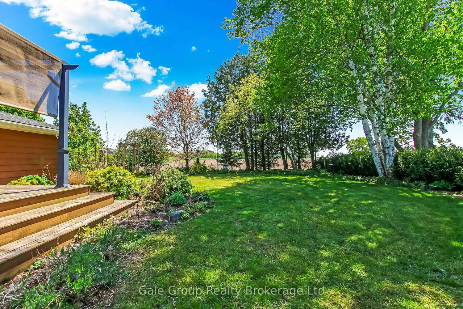 49 Briar Drive photo 4