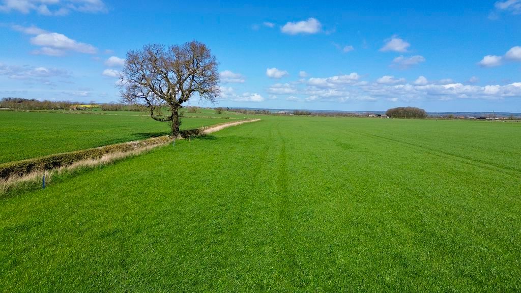 Additional image 20 of Land for saleRyton, Malton YO17