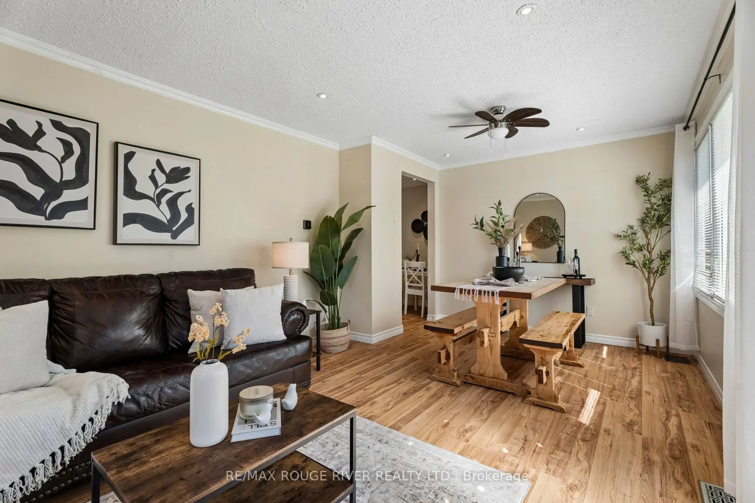 20 Lorne Street photo 4