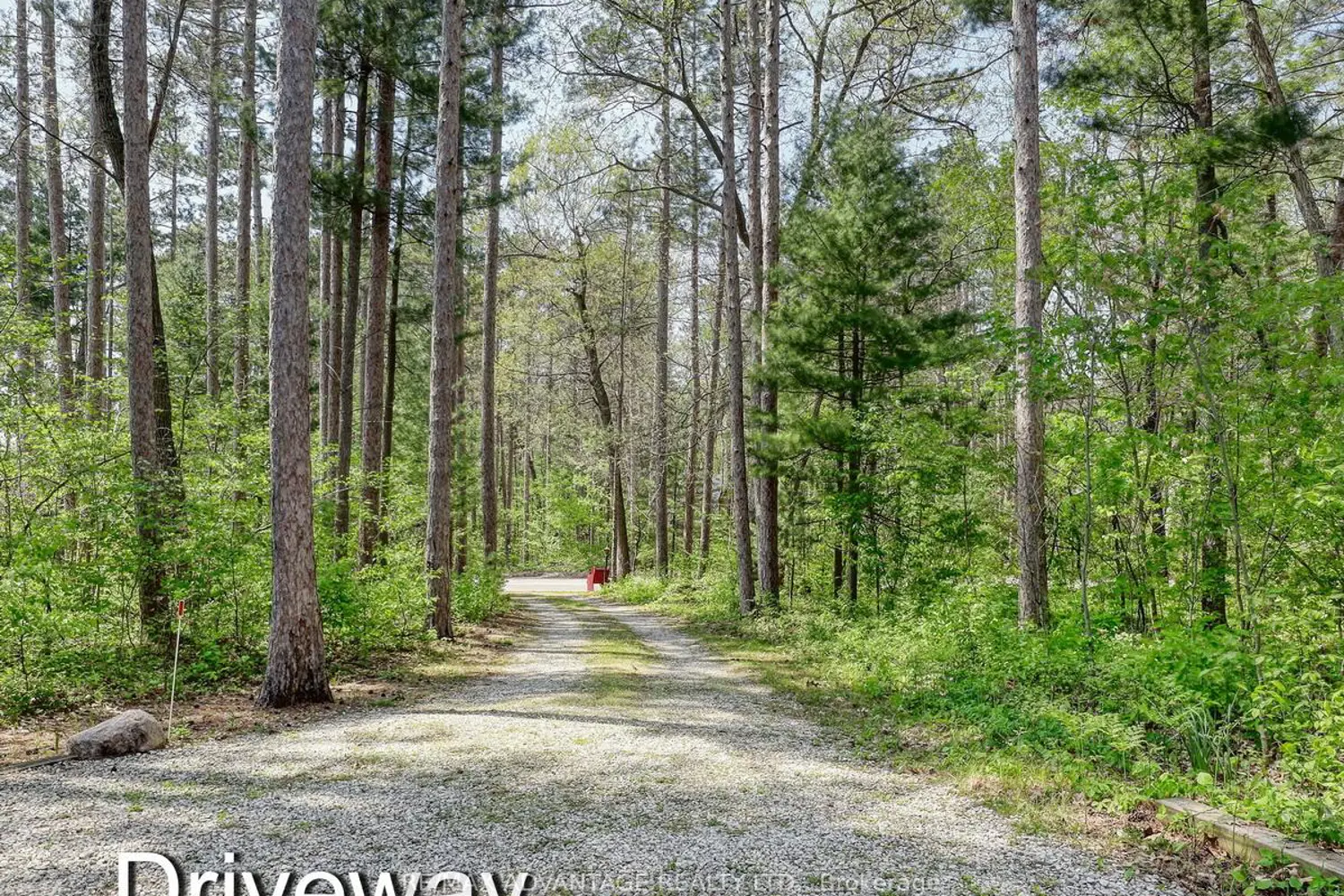 Additional image 18 of 10404 Pinetree Drive