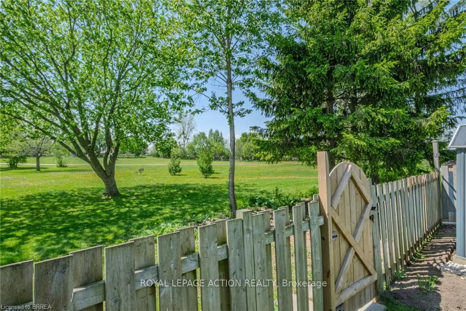 33 Palomino Drive photo 2