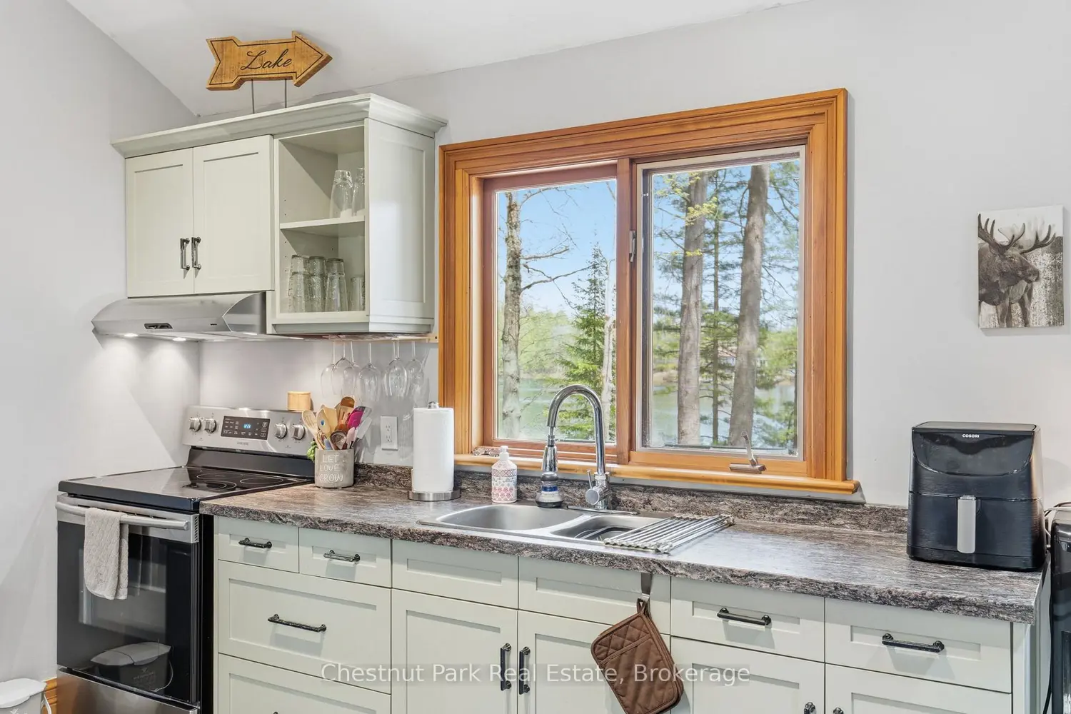 1117 Turtle Lake Road photo 4