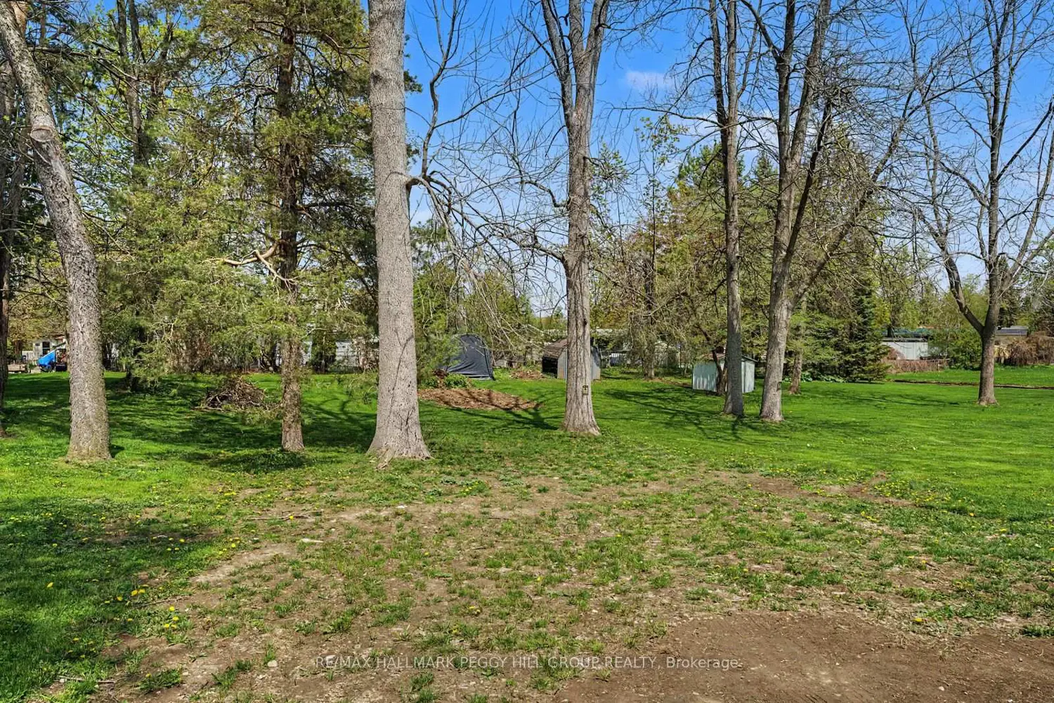 Additional image 14 of 22 Olive Crescent