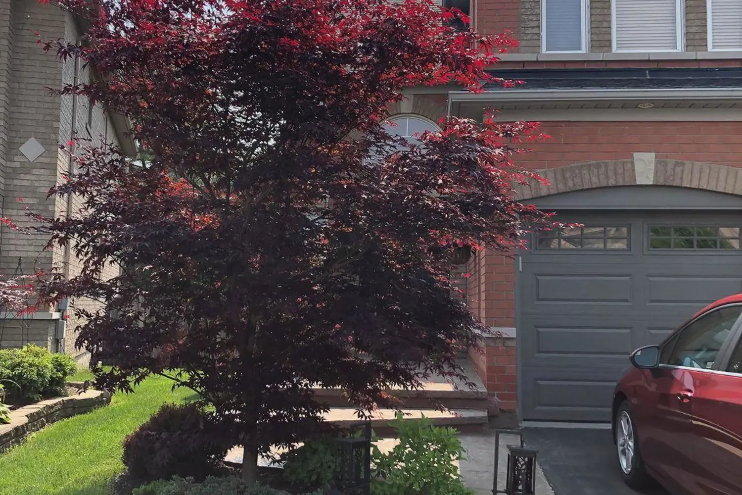 Additional image 20 of 461 Summerpark Crescent