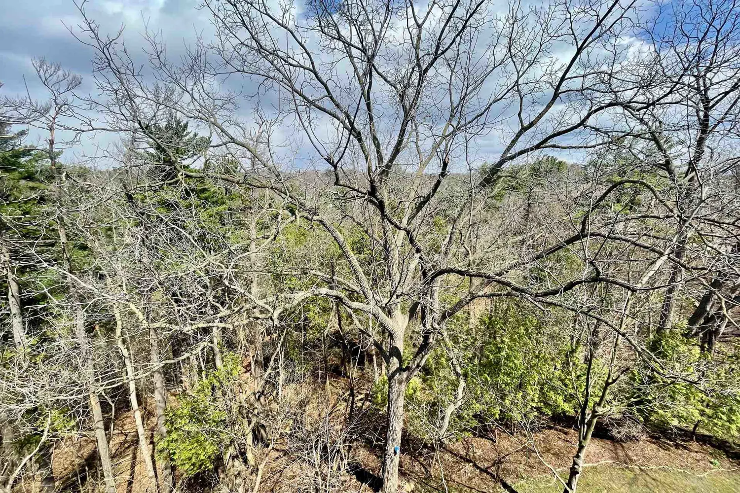 Additional image 10 of 50 Old Kingston Road 5-606