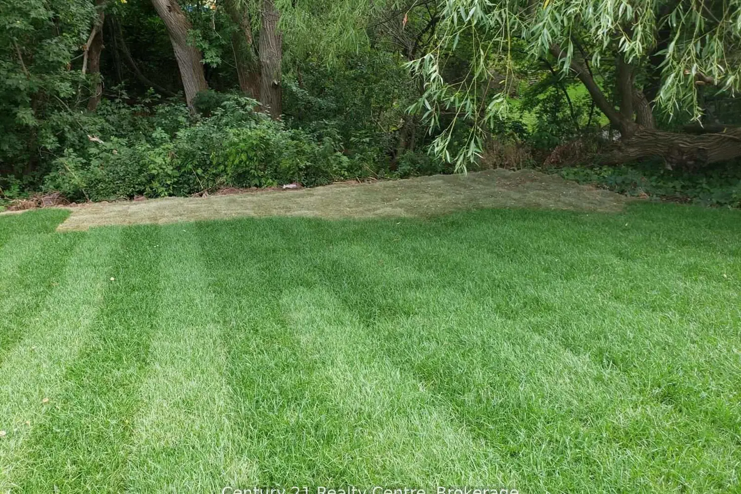 Additional image 16 of 1491 Pembroke Drive